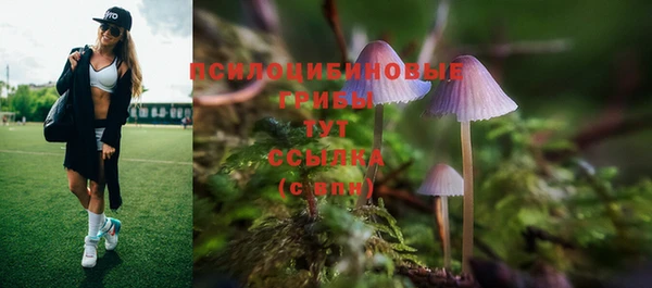 гидропоника Балабаново