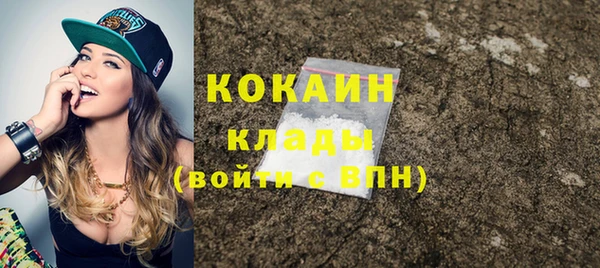шишки Балахна