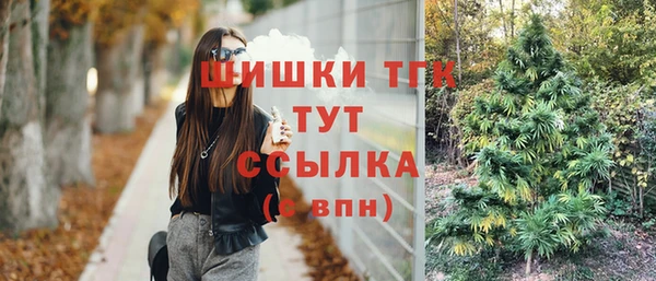 гидропоника Балабаново