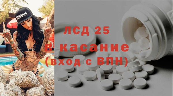 шишки Балахна