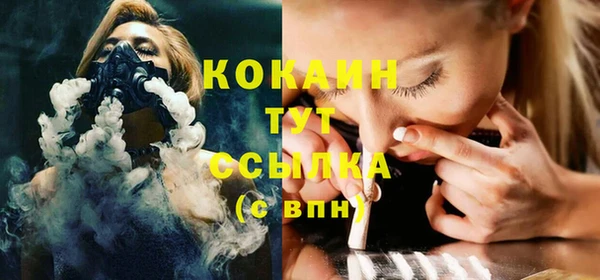 шишки Балахна