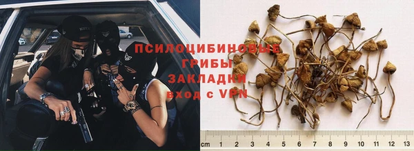 гидропоника Балабаново