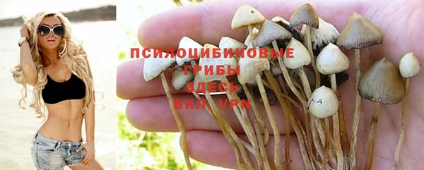 гидропоника Балабаново