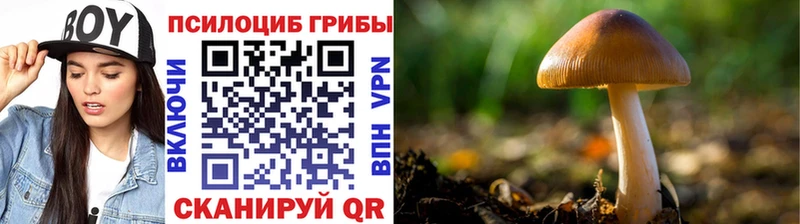 цены   Троицк  Галлюциногенные грибы Magic Shrooms 